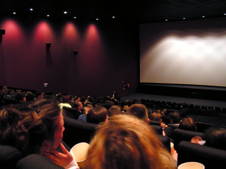 What is a dcp the dcp works